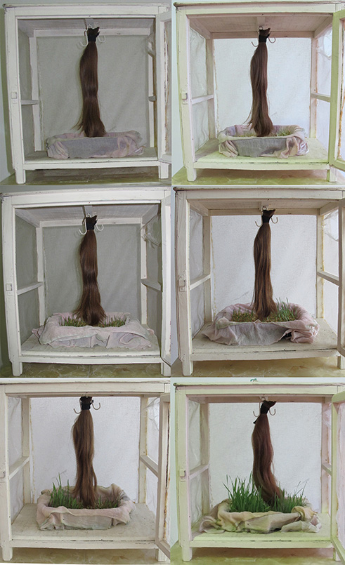Pooneh Oshidari , Process of The Care project- Artist's hair, wheat, cheese box, 60x45x40 cm, France