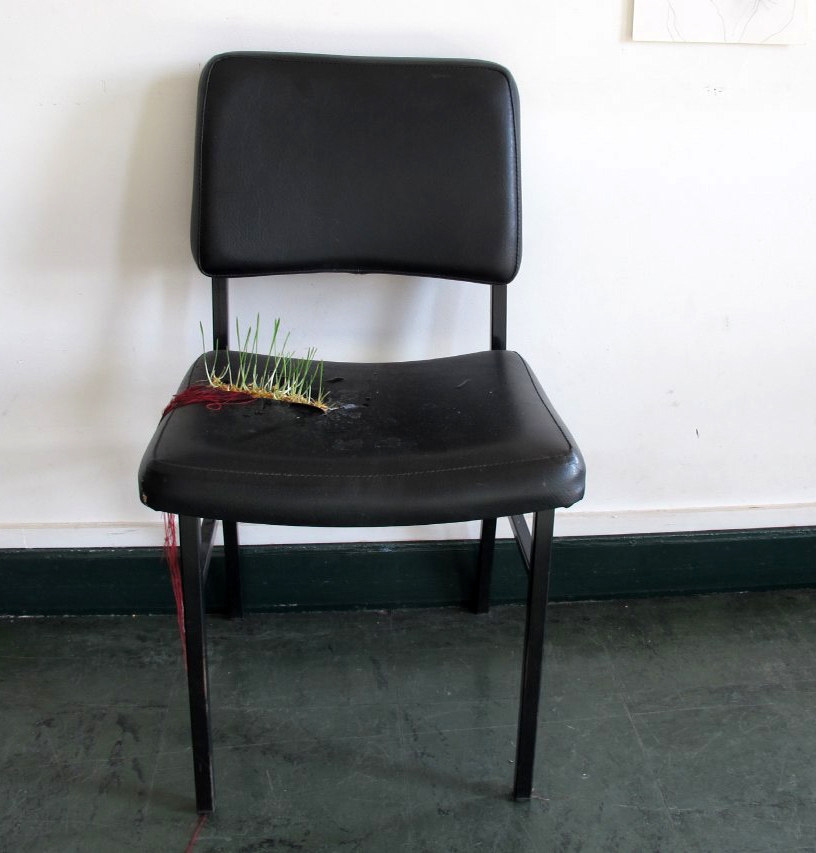 Pooneh Oshidari , The Care, 2018, growing wheat seeds at the age of 2 weeks, Cite Internationale des Arts, Paris