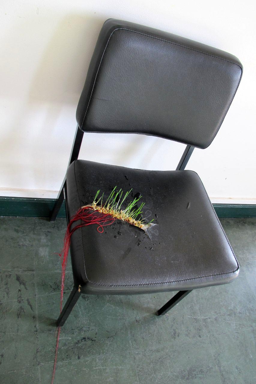 Pooneh Oshidari , The Care, 2018, growing wheat seeds at the age of 2 weeks, Cite Internationale des Arts, Paris