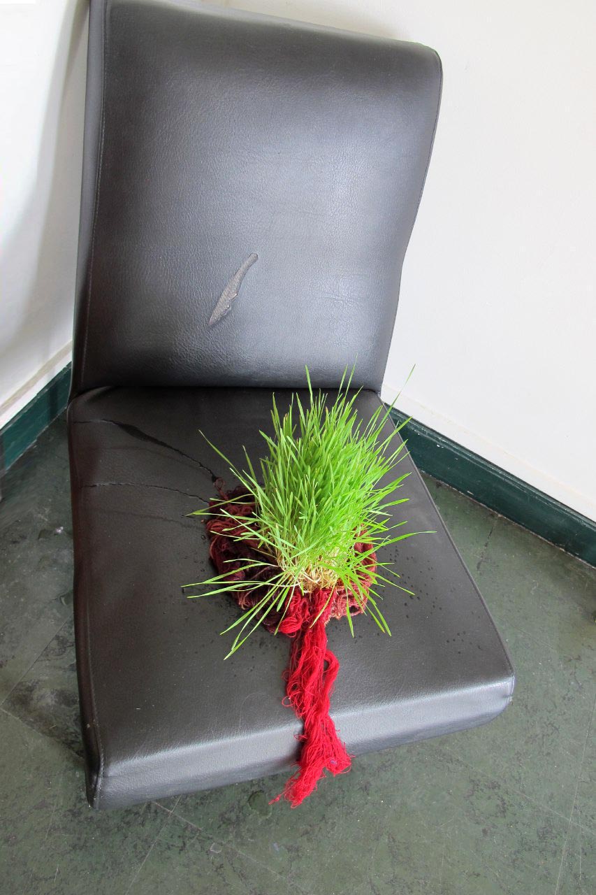 Pooneh Oshidari , The Care, 2018, growing wheat seeds at the age of 3 weeks, Cite Internationale des Arts, Paris