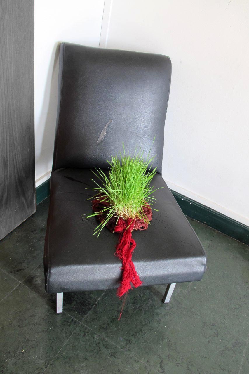 Pooneh Oshidari , The Care, 2018, growing wheat seeds at the age of 3 weeks, Cite Internationale des Arts, Paris