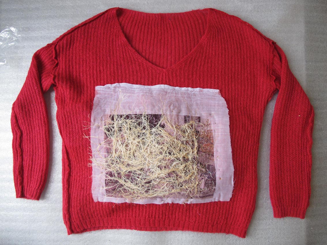 Pooneh Oshidari , Wheat roots through Tirdad's pullover and her previous home image in Tehran. Her previous Home image is attached to her red pullover. It is about 4 years that she is living in Paris.