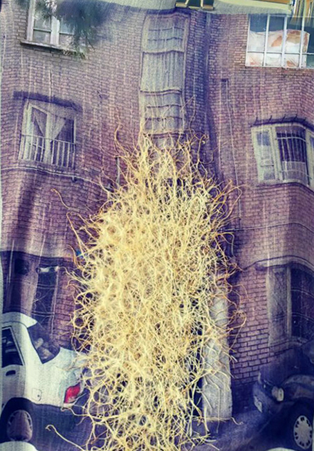 Pooneh Oshidari , Wheat roots through Azita's pantyhose and her previous home image in Tehran. Her previous Home image is attached to her black pantyhose. It took 20 days to create this image by growing wheat roots.