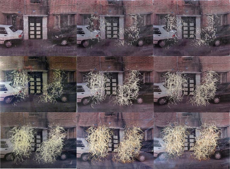 Pooneh Oshidari , Process of Growing wheat roots through her previous home image. This image is attached to her jacket.Azita's