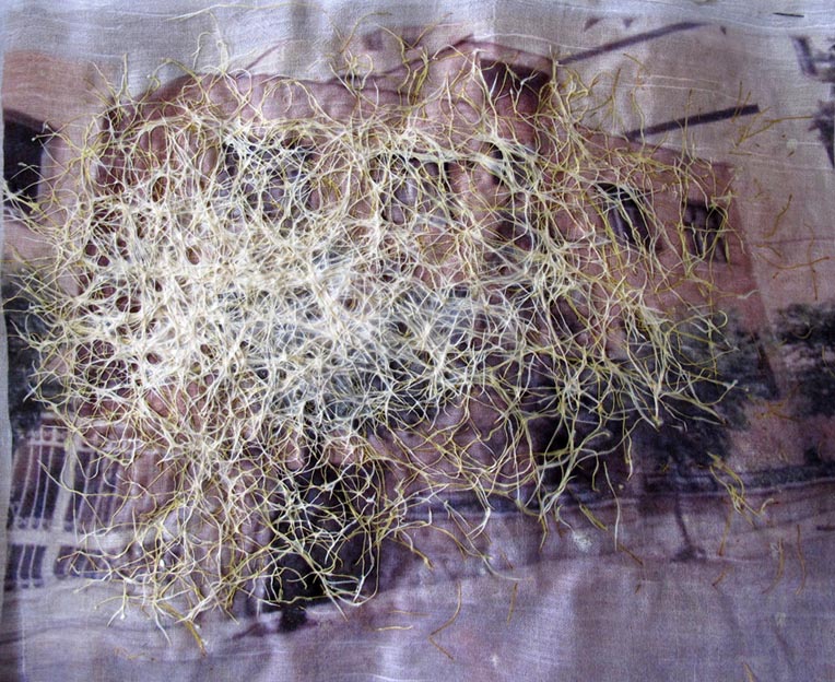 Pooneh Oshidari , Growing wheat roots through Nasim's scarf and her previous home image in Tehran. It is about 5 years that she is living in Paris. Her previous Home image is attached to her scarf.
