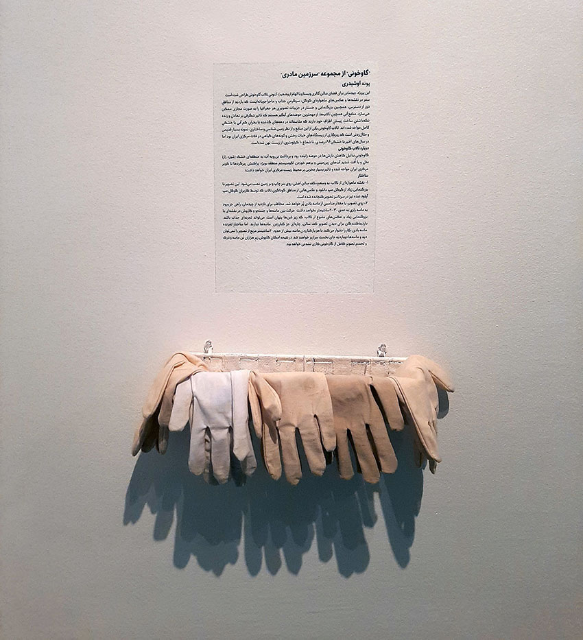 Pooneh Oshidari , Gavkhouni, 2021, Vista gallery, part of installation, In the memory of Gavkhouni lagoon in Iran