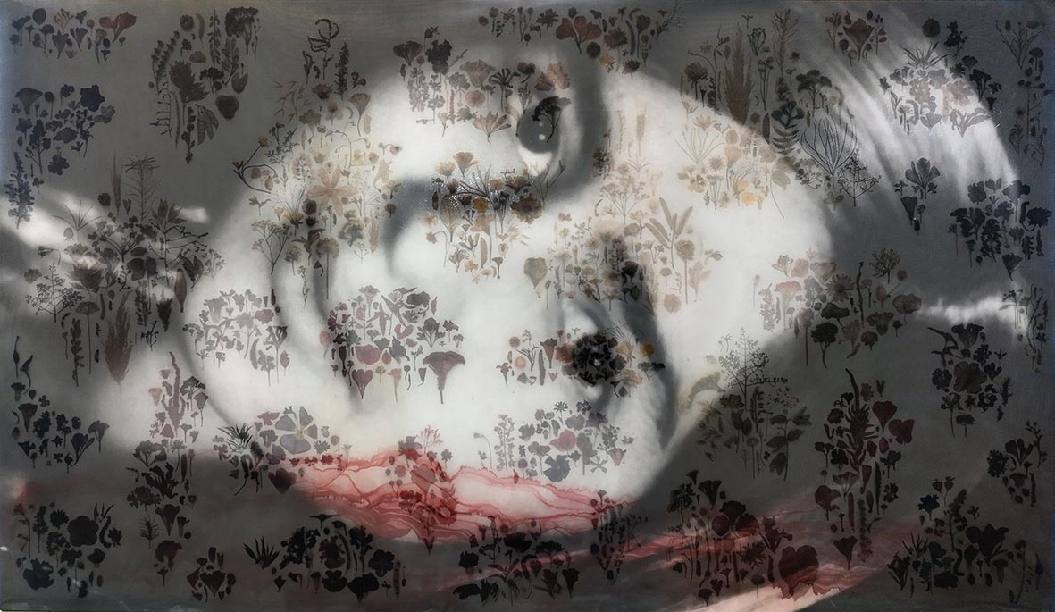 Pooneh Oshidari , Mom, 2023, Dried plants, ink and fabric on canvas, 150 x 250 x 7 cm, Bavan Gallery, Tehran
